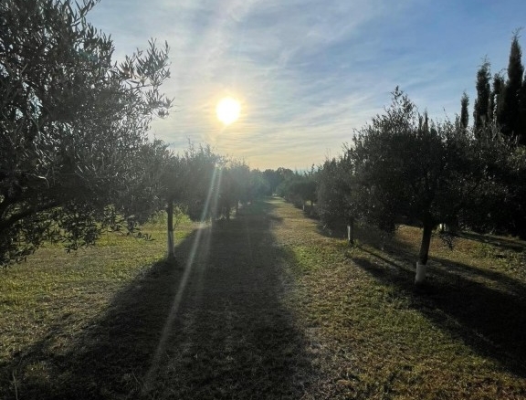 Imagen 1 de Finca Rústica de 4857 m2 en Jerez de la Frontera