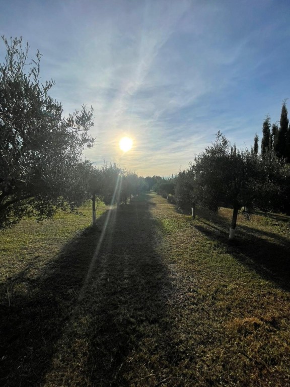 Imagen 1 de Finca Rústica de 4857 m2 en Jerez de la Frontera