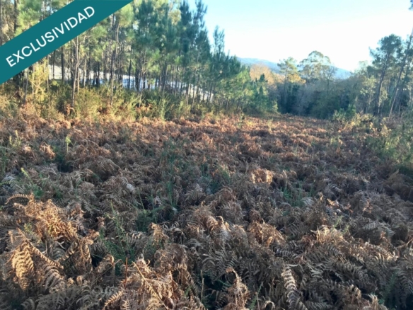 Imagen 2 de Terreno edificable en A Toxeira