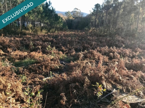 Imagen 3 de Terreno edificable en A Toxeira