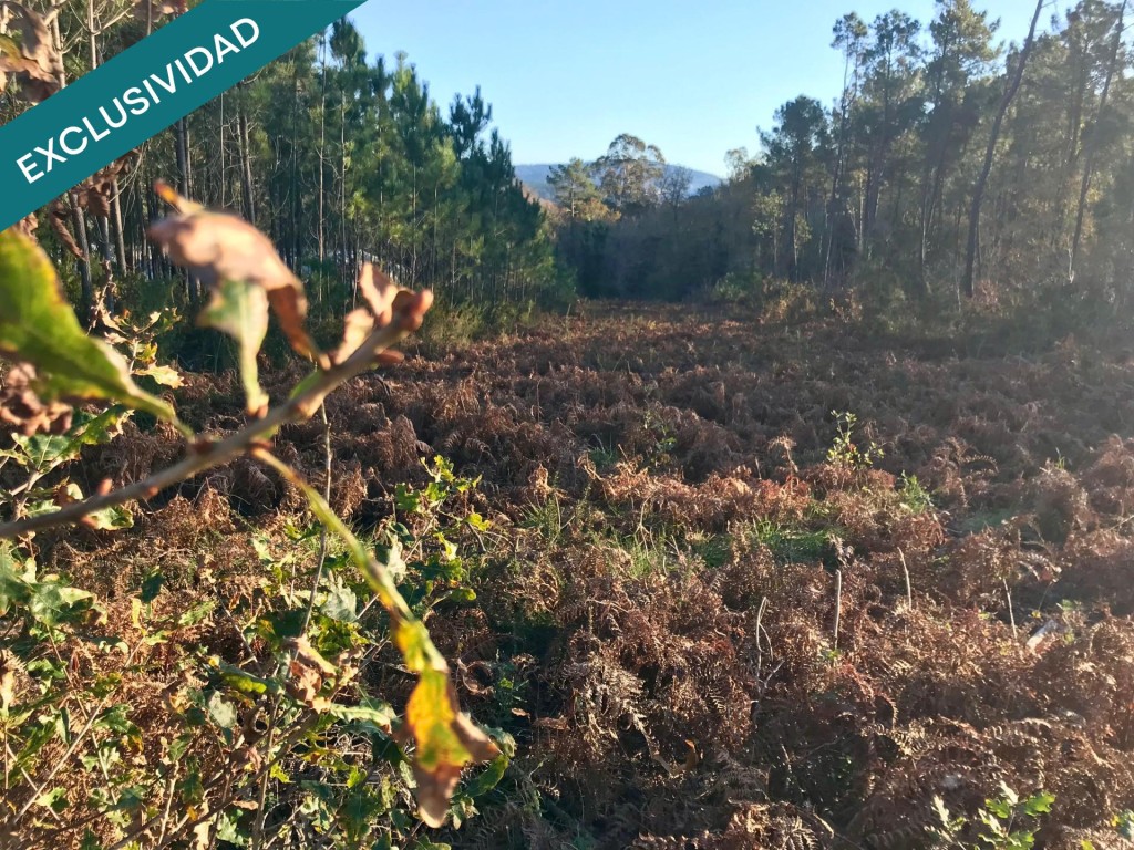 Imagen 4 de Terreno edificable en A Toxeira