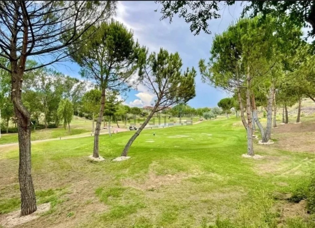 Imagen 4 de Terreno en Cabanillas del campo