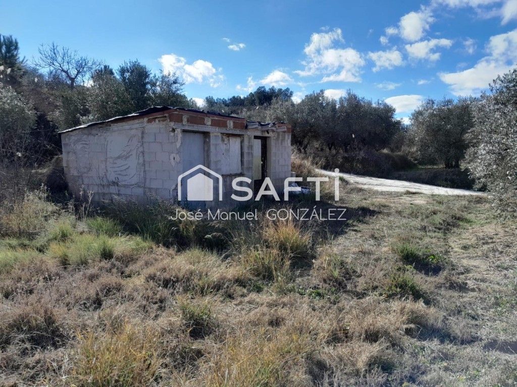 Imagen 3 de Tu huerto a 4 minutos de Cehegín