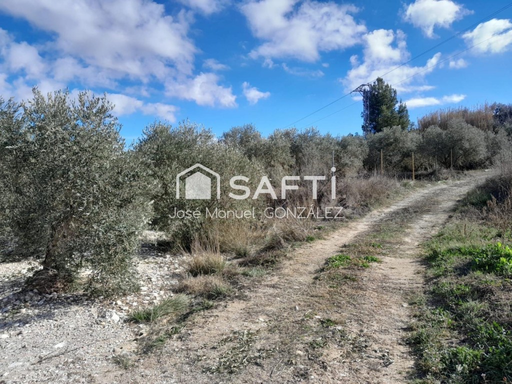 Imagen 4 de Tu huerto a 4 minutos de Cehegín