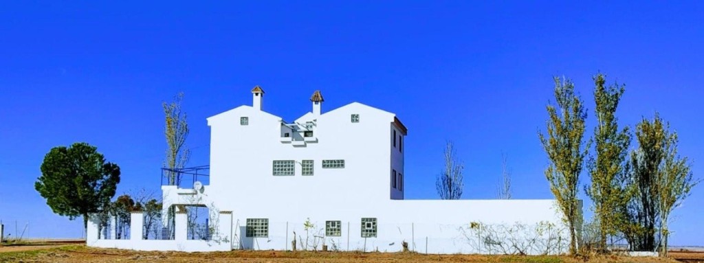 Imagen 4 de El hogar que tú familia merece