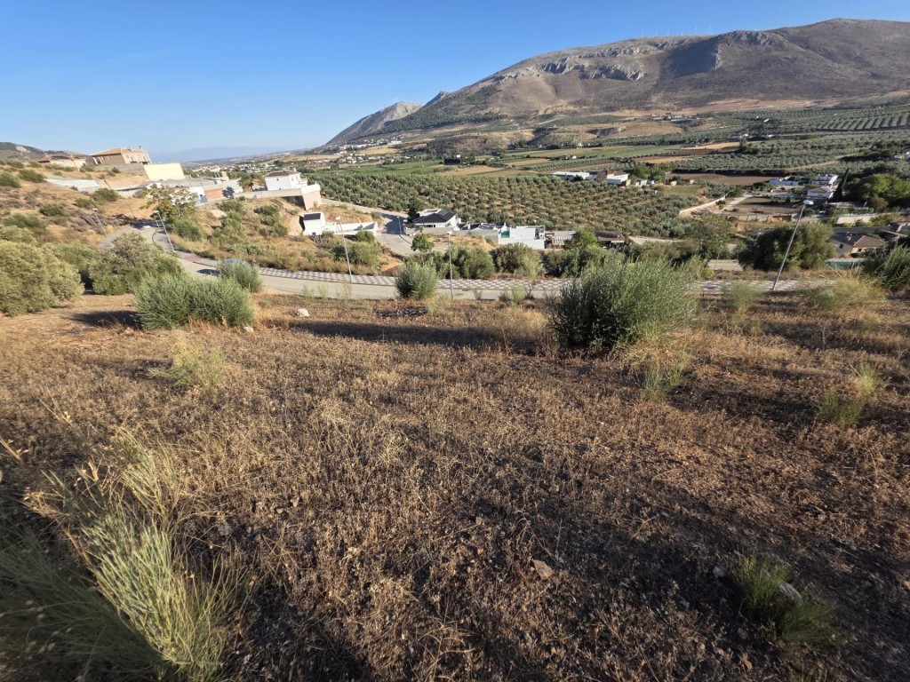 Imagen 3 de Terreno en C/Bronce