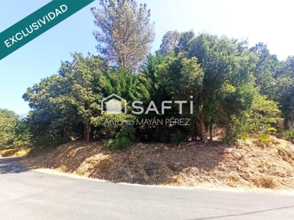 Imagen 4 de FINCA RÚSTICA EN SANTA UXÍA - CONCELLO DE BARBADÁS