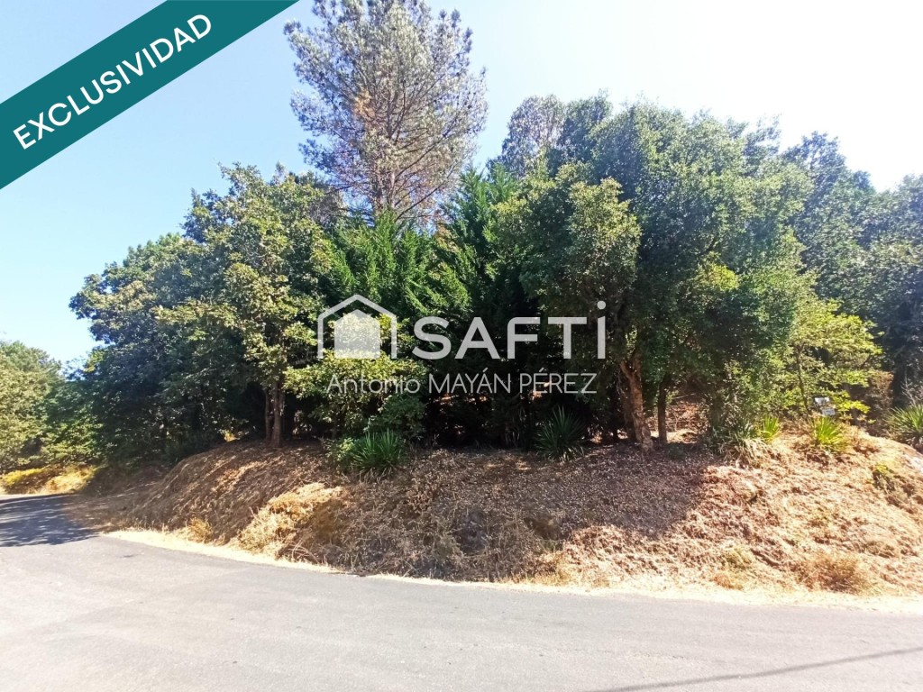 Imagen 4 de FINCA RÚSTICA EN SANTA UXÍA - CONCELLO DE BARBADÁS