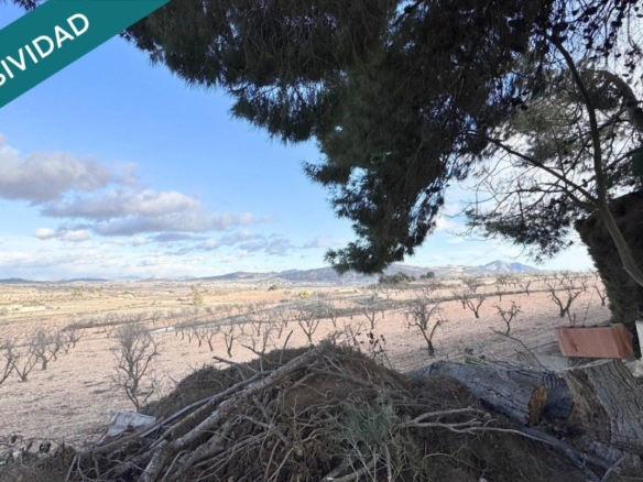 Imagen 3 de Preciosa CASA CUEVA a 5 Minutos de PINOSO