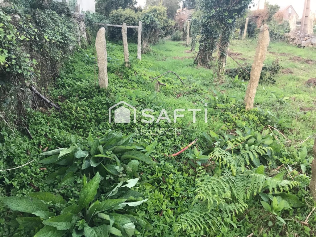 Imagen 2 de Terreno urbano en Puilla (Nebra.)