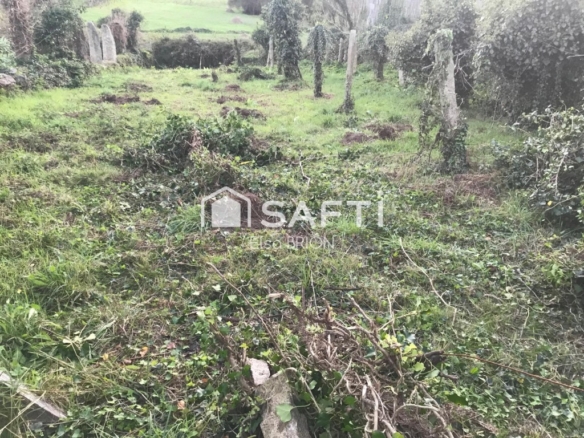 Imagen 4 de Terreno urbano en Puilla (Nebra.)