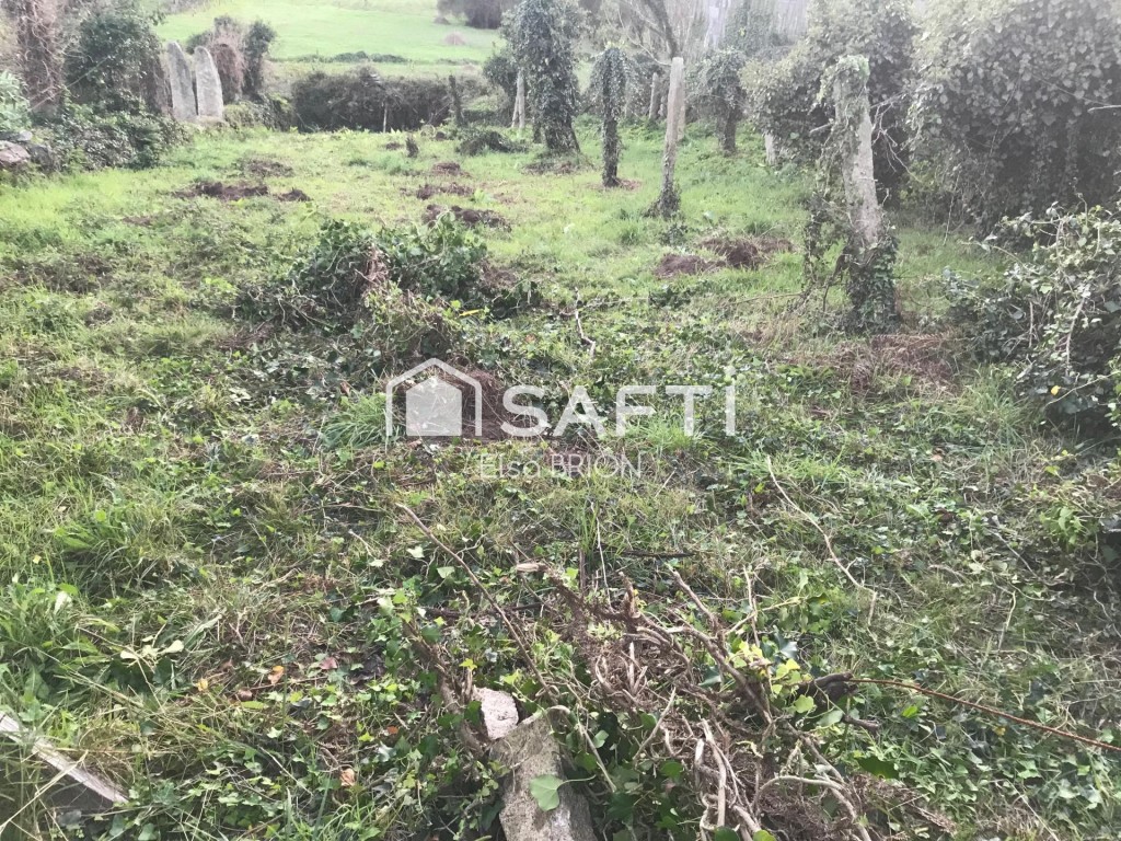 Imagen 4 de Terreno urbano en Puilla (Nebra.)