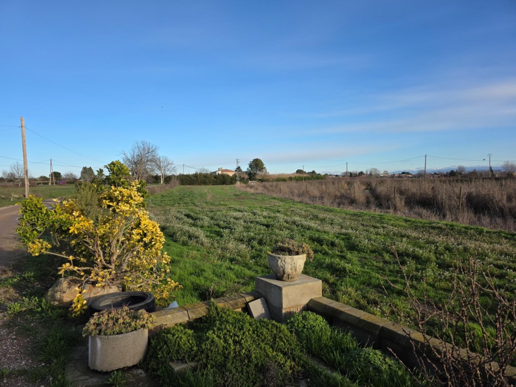 Imagen 2 de CASA CON TERRENO EN PARTIDA MONCADA