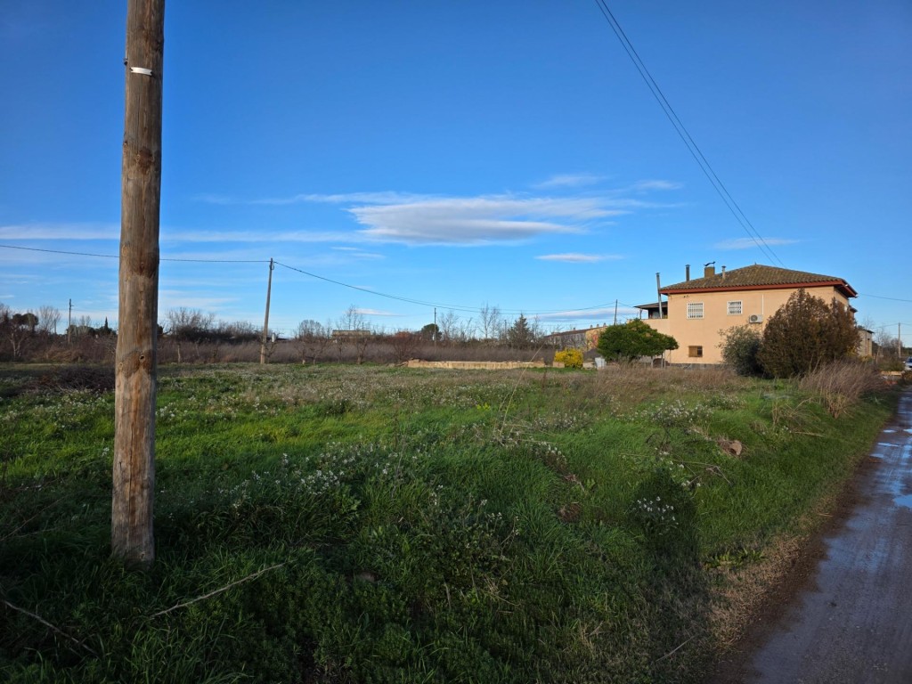 Imagen 4 de CASA CON TERRENO EN PARTIDA MONCADA