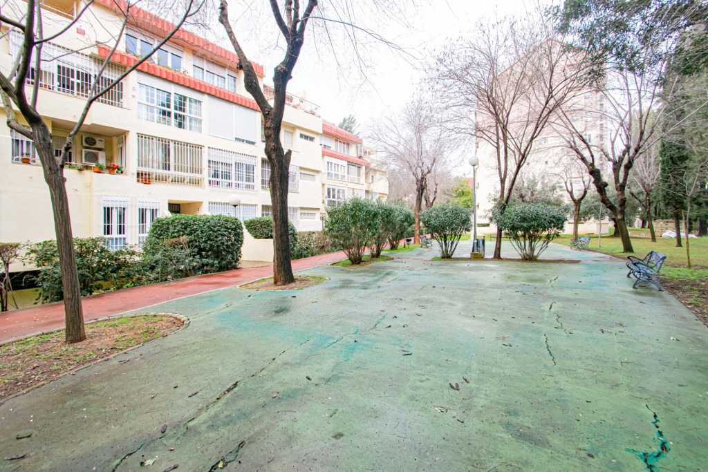 Imagen 3 de Preciosa vivienda REFORMADA en c/ Ópera Carmen con garaje y piscina comunitaria