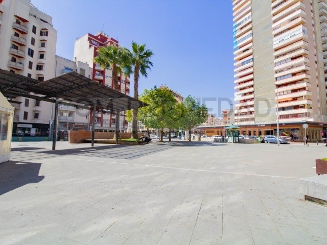 Imagen 2 de Local comercial en Venta en Palma De Mallorca Baleares CIUDAD ANTIGUA