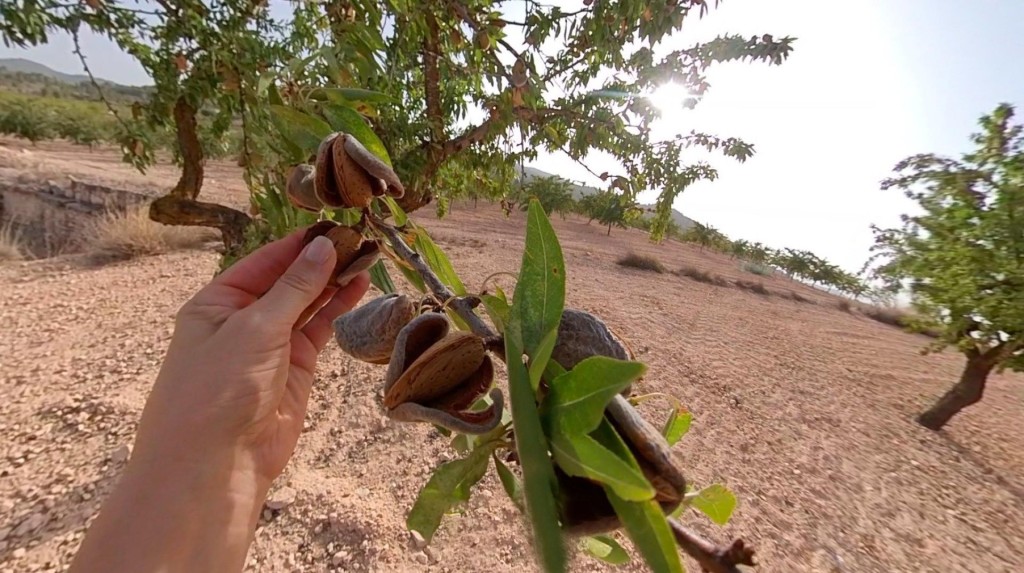 Imagen 1 de Tu refugio natural con alma y potencial único