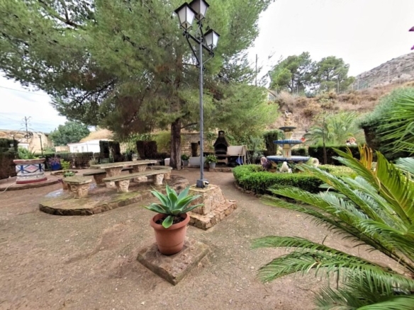 Imagen 1 de Campo único en Elda