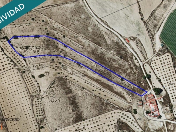 espacio y oportunidades.