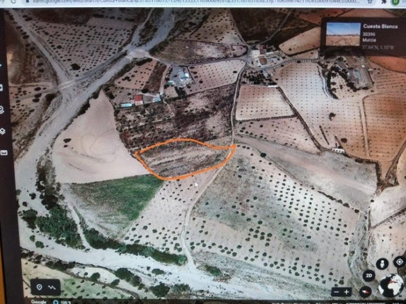 Los (Cuesta Blanca) Murcia