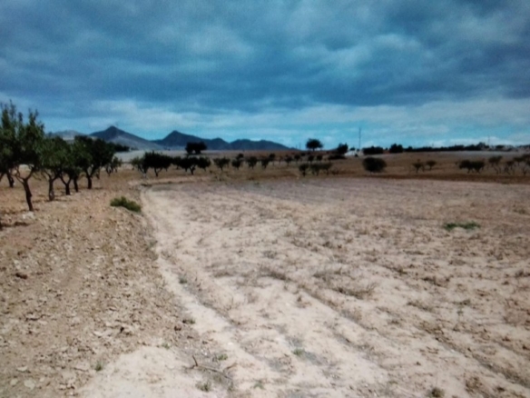 Imagen 2 de Suelo rústico en Venta en Blases