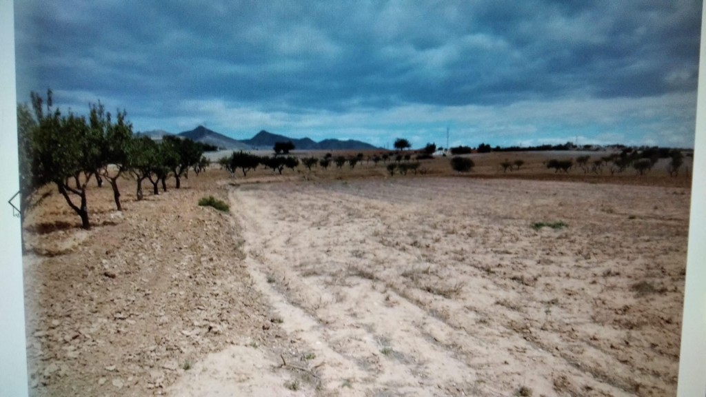 Imagen 2 de Suelo rústico en Venta en Blases