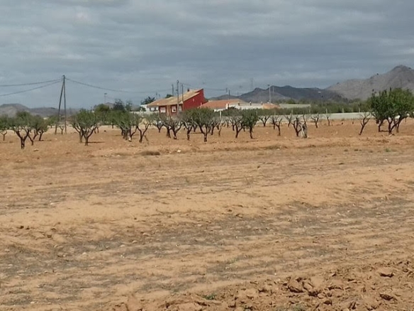 Imagen 1 de Suelo rústico en Venta en Blases