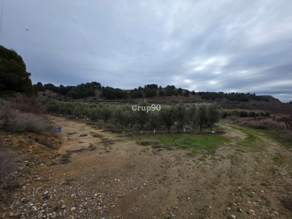 Imagen 2 de Finca rústica excepcional de 4 hectáreas con vivienda y almacén – Alpicat
