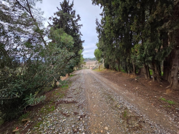 Imagen 3 de Finca rústica excepcional de 4 hectáreas con vivienda y almacén – Alpicat