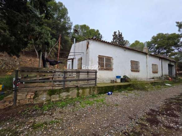 Imagen 1 de Finca rústica excepcional de 4 hectáreas con vivienda y almacén – Alpicat