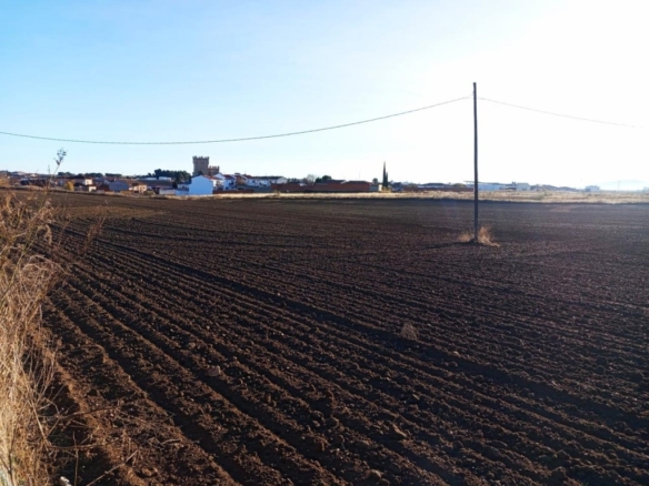 Imagen 2 de ESPECIAL PROMOTORES: TERRENO URBANO JUNTO AL CENTRO DE GUADAMUR