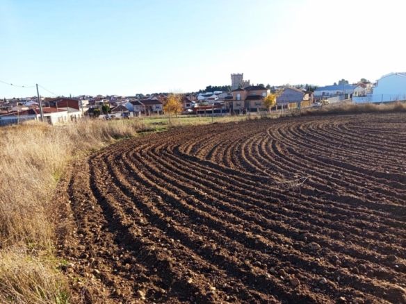 Imagen 3 de ESPECIAL PROMOTORES: TERRENO URBANO JUNTO AL CENTRO DE GUADAMUR