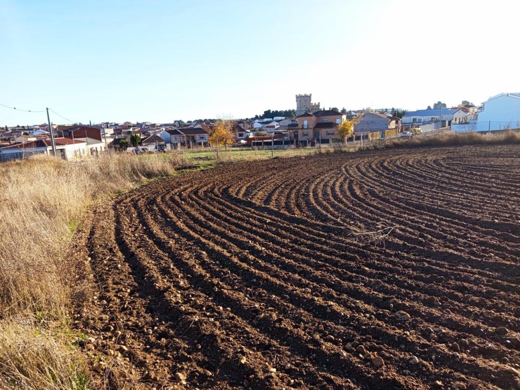 Imagen 3 de ESPECIAL PROMOTORES: TERRENO URBANO JUNTO AL CENTRO DE GUADAMUR