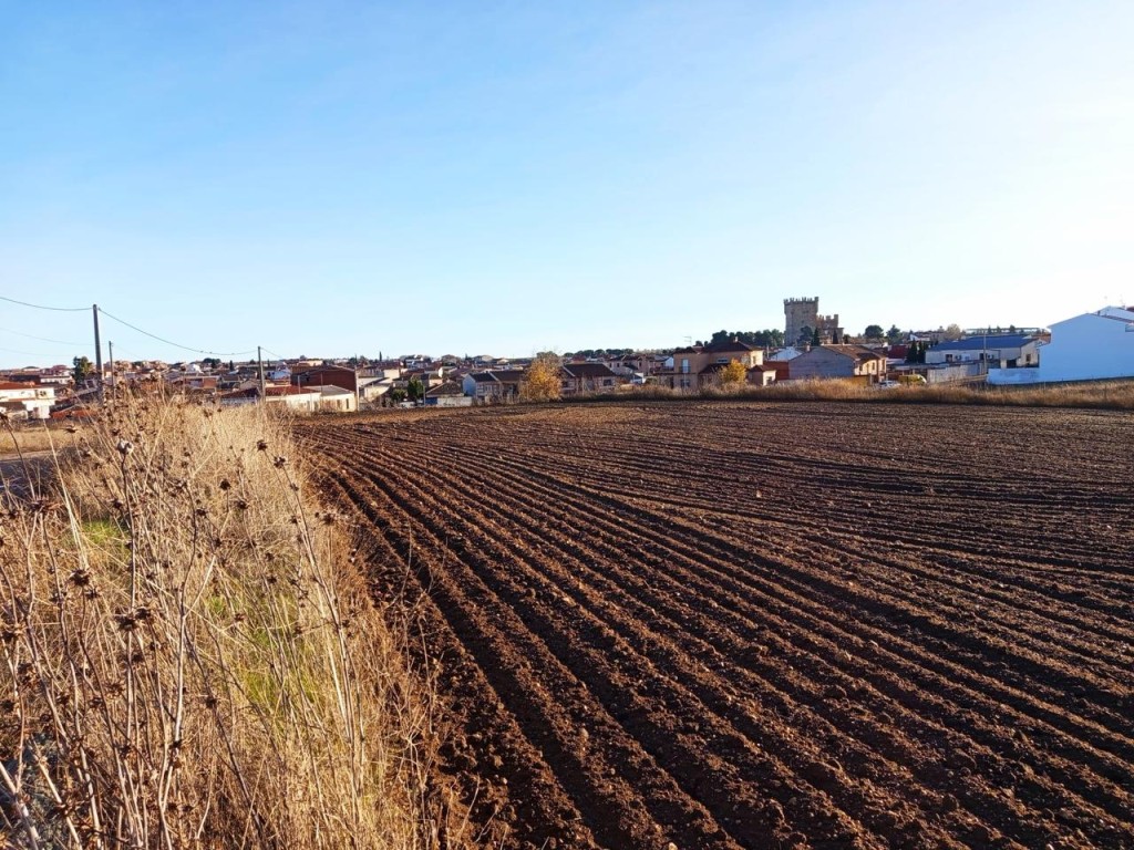Imagen 4 de ESPECIAL PROMOTORES: TERRENO URBANO JUNTO AL CENTRO DE GUADAMUR