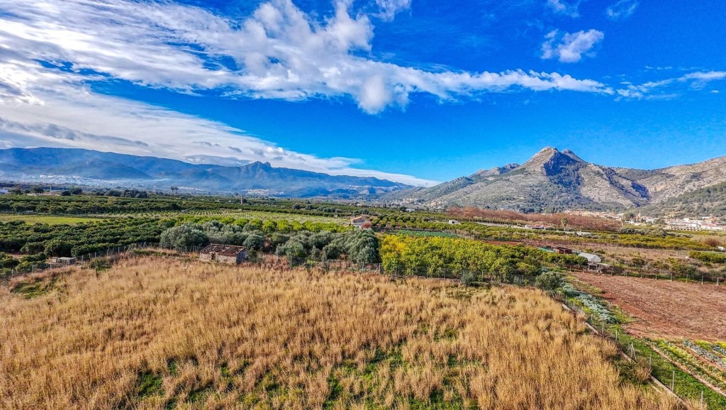 Imagen 3 de Parcela en Venta en Sagra Alicante