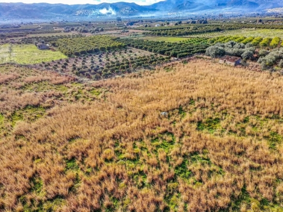 Imagen 4 de Parcela en Venta en Sagra Alicante