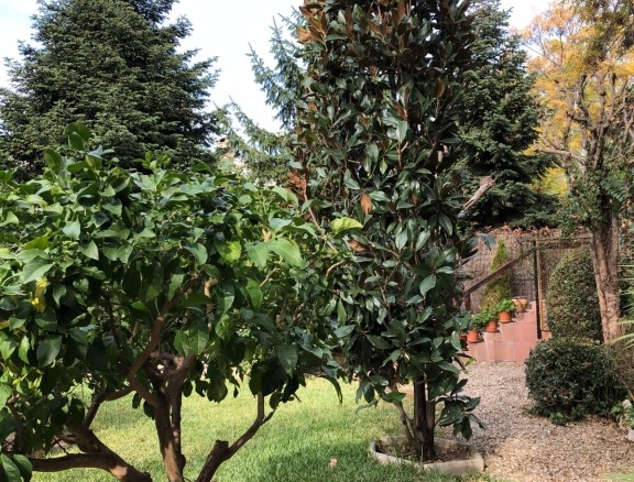 Imagen 2 de Casa-Chalet en Venta en Montmelo Barcelona