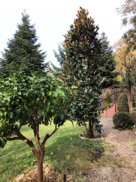 Imagen 2 de Casa-Chalet en Venta en Montmelo Barcelona