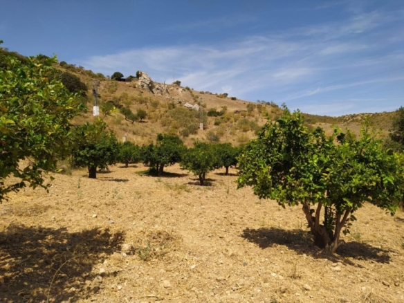 Imagen 2 de Finca (130hc) en Ardales junto al Caminito del Rey