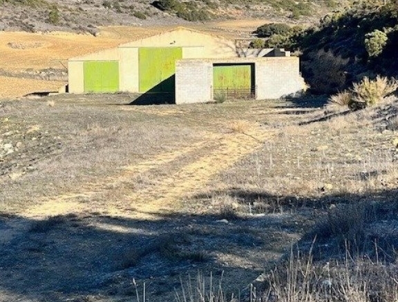 Imagen 4 de Finca rústica en Higueruela con casa de campo reformada