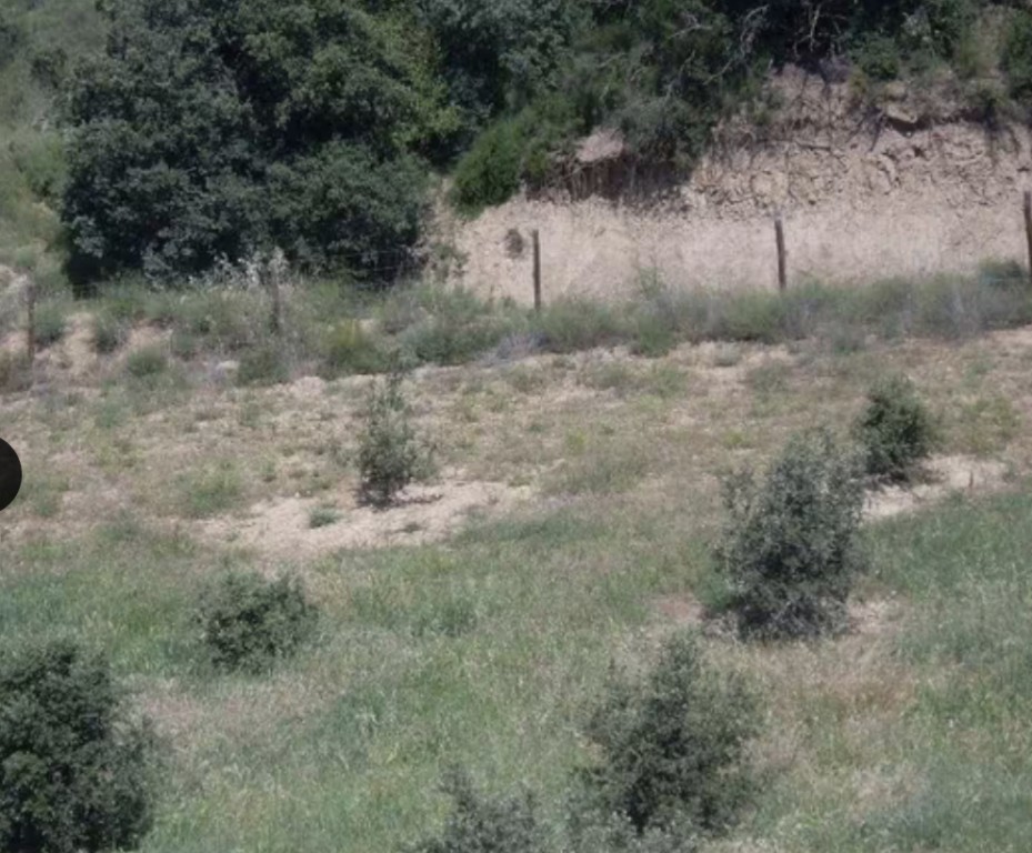 Imagen 4 de Suelo rústico en Venta en Cregenzan Huesca