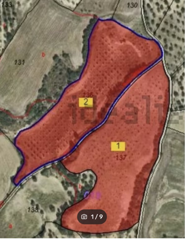 Imagen 1 de Suelo rústico en Venta en Cregenzan Huesca