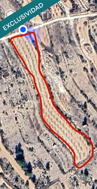 Imagen 2 de EXCLUSIVA OPORTUNIDAD – PARCELAS RÚSTICAS EN CASAS DE SANCHIS (MONOVAR)