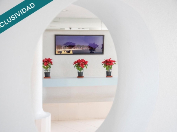 po-1252462-imagen - El Club del Propietario Imagen 1 de ¡Oportunidad única de inversión en Benidorm!