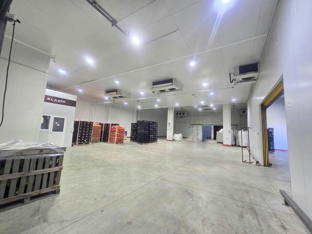 Imagen 3 de PLATAFORMA LOGÍSTICA REFRIGERADA – POLÍGONO INDUSTRIAL MERCAMÁLAGA