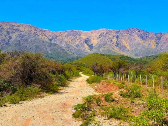 po-1252594-imagen - El Club del Propietario Imagen 1 de Parcela en Venta en Madrid Madrid CANILLEJAS