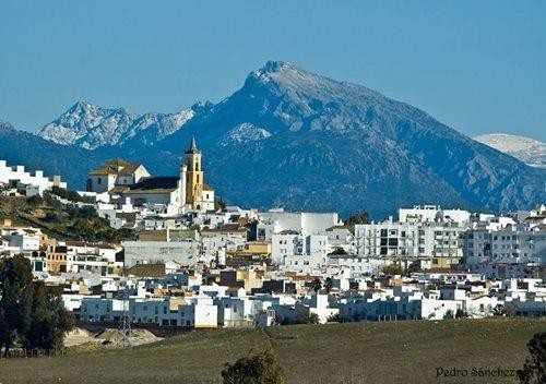 Imagen 1 de Estupendo piso en Villamartin