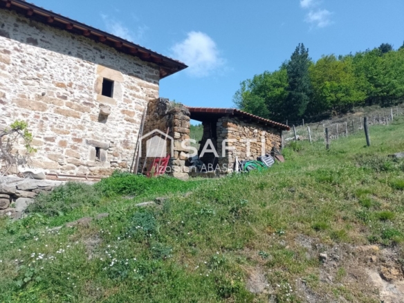 vive mañana en plena naturaleza