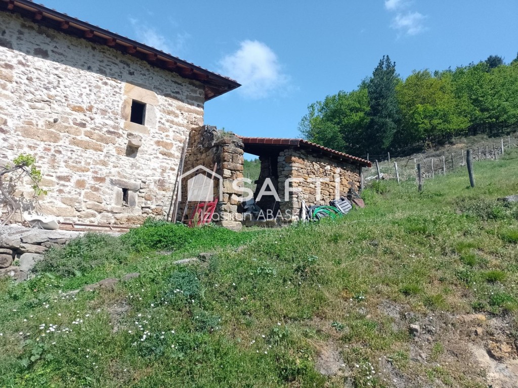 vive mañana en plena naturaleza