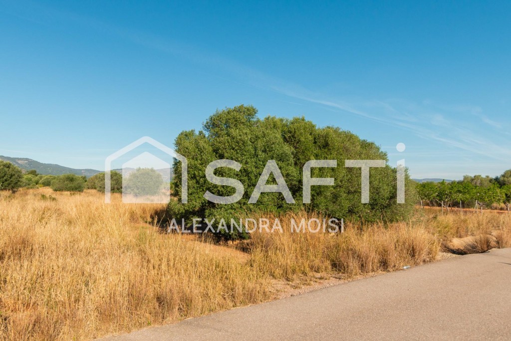 Imagen 2 de Parcela rústica de 2